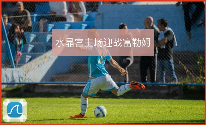水晶宫主场迎战富勒姆