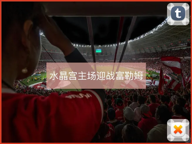 水晶宫主场迎战富勒姆